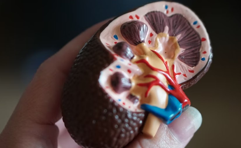 Best Hospital In Washington For Kidney Stone Treatment.jpg