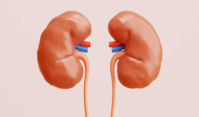 Best Hospital In United Arab Emirates For Kidney Stone Treatment.jpg